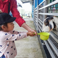 水鹿咖啡親子館