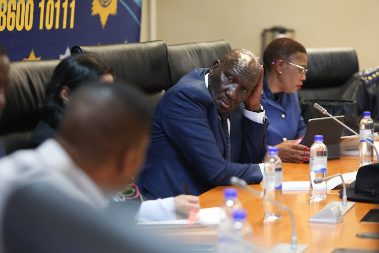 Minister of Police Bheki Cele, in a written answer to parliament, revealed that five provinces had almost 30% shortage of detectives.