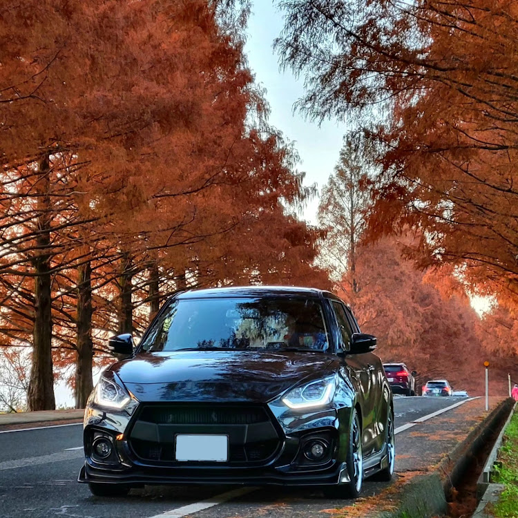 スイフトスポーツの今年最後のロングドライブ・メタセコイア並木の紅葉に関するカスタム事例の投稿画像1枚目