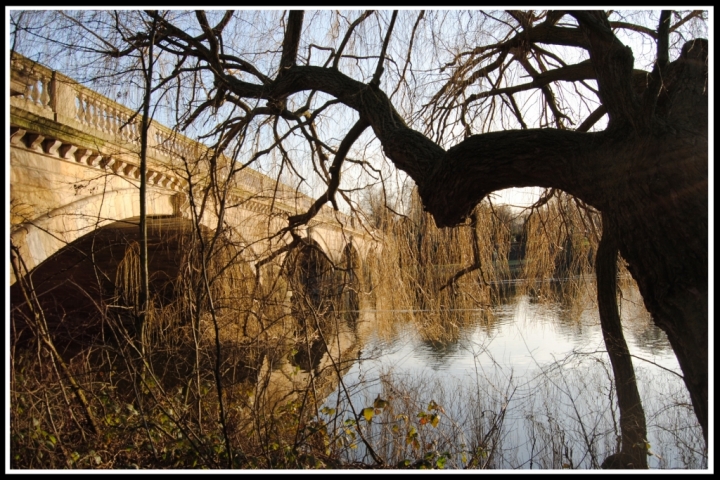 Bajo del puente , cerca del rio di mrk982