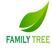 Family Tree  Icon