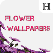 Flower Wallpaper  Icon