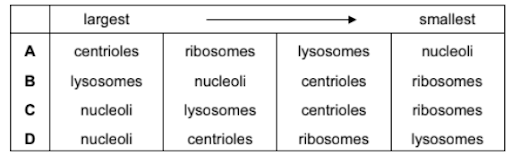 Light microscopic views and pictorial identification of plant and animal cells