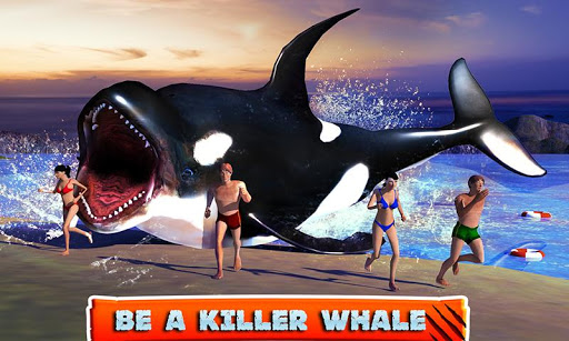 Killer Whale Beach Attack 3D