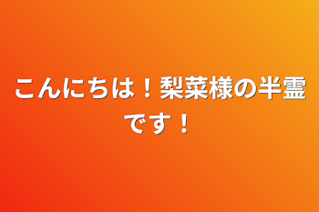 こんにちは！梨菜様の半霊です！