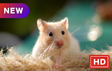Hamsters Popular Animals HD New Tabs Themes small promo image