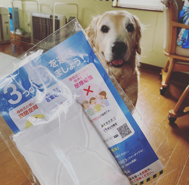 クラウンアスリートの食べる前に撮る📸・SHOW-WA・寂しくなんてないんだからね！・撮りぼっちに関するカスタム事例の投稿画像3枚目