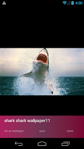 Shark Wallpapers screenshot 1