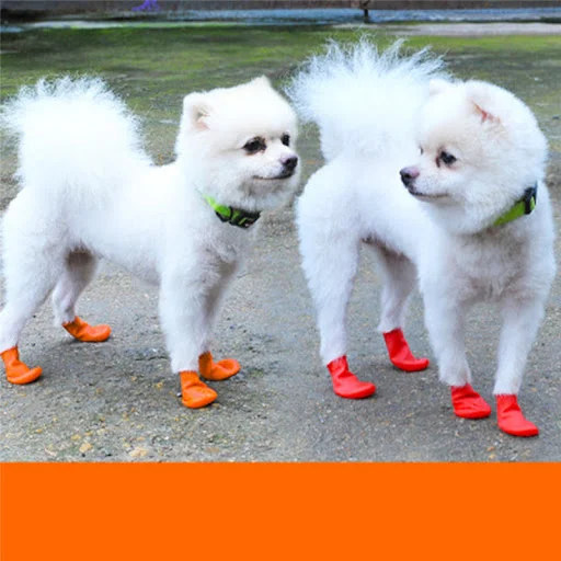 images slider number - 4