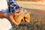 Rising wheat prices due to the Russian invasion of Ukraine could lead Egypt to raise the price of subsidised loaves for the first time in four decades. Stock photo.