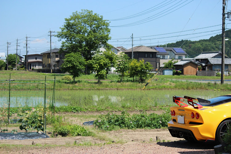 エキシージ Sのイルカ池クラブ・楽しい伊勢志摩ツアーでした♪・寺尾ケ原千本桜・とにかく暑かったに関するカスタム事例の投稿画像6枚目