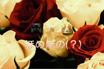 🎮  × 👑  ほのぼの (？)