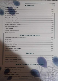 Hotel Rajshree menu 2