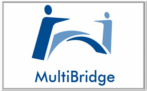 MultiBridge Trader