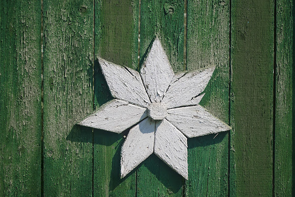 Petali di legno di Pinco_Pallino