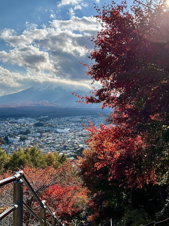 の投稿画像7枚目