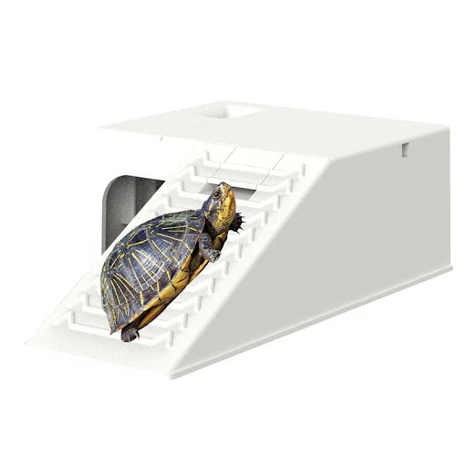 Turtle Ramp Stable Climbing Shelf Turtle Tank Decor Climbing Platform With Shelter House Tortoise Terrace With Filter Wa