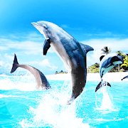 Dolphins Live Wallpaper  Icon