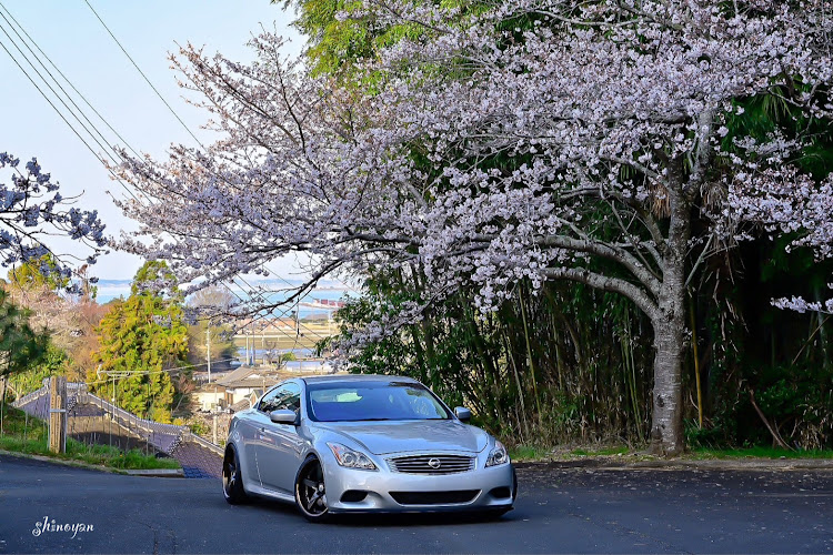 スカイラインクーペの桜と愛車・いばらきのいいところに関するカスタム事例の投稿画像8枚目