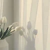 ユーザー