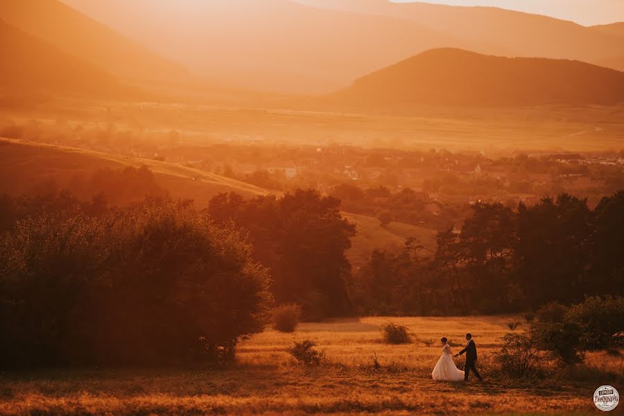 Wedding photographer Lupascu Alexandru (lupascuphoto). Photo of 14 January 2018