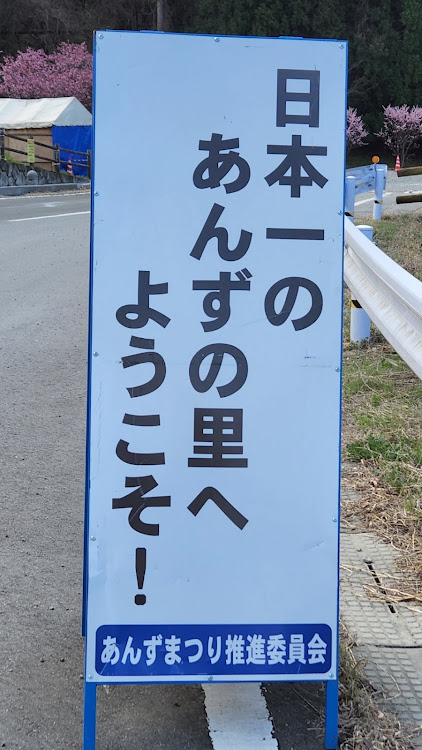 86の春ですね〜🎵・あんずの里・森将軍塚古墳・ラッキー食堂まとや・長野スゲーに関するカスタム事例の投稿画像5枚目