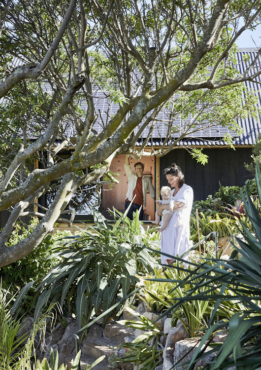 Looking back at the cabin from the garden, it is clear how unobtrusive it is in its garden setting, and also how little disturbance or damage the construction process caused.