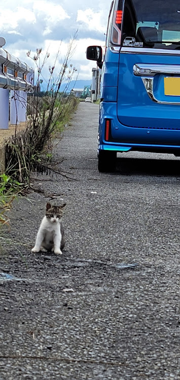 の投稿画像3枚目