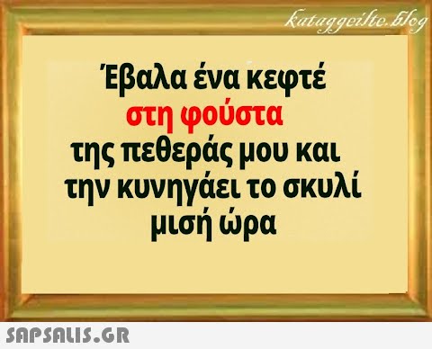 Έβαλα ένα κεφτέ στη φούστα της πεθεράς μου και την κυνηγάει το σκυλί μισή ρα