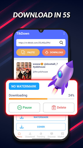 TikDown - TikTok Downloader