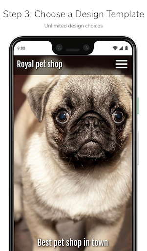 Best Website Creator Software