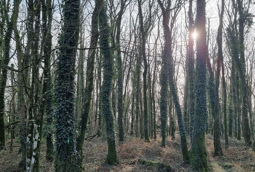  Vente Terrain à bâtir - à Caden (56220) 