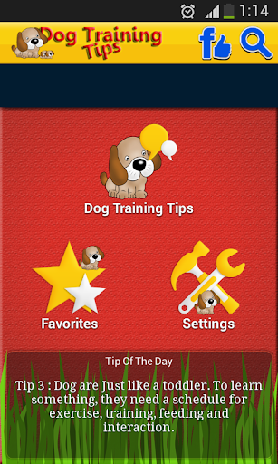 Dog Training Tips 2015