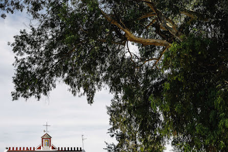 Fotografo di matrimoni Juan Luis Morilla (juanluismorilla). Foto del 30 marzo 2020