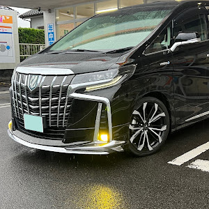 アルファード AYH30W