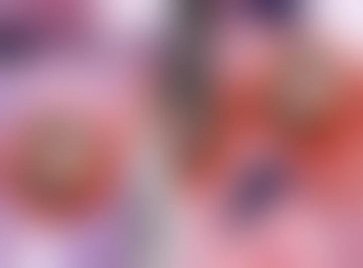 「木兎＆赤葦♡及川＆岩泉の4P！？」のメインビジュアル
