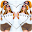 3D Mirror Photo Editor Download on Windows
