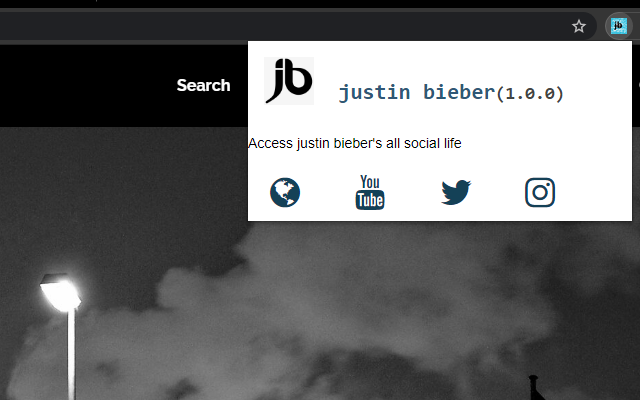 justin bieber access Preview image 1