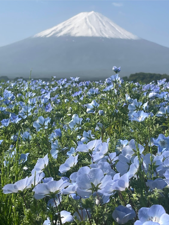 の投稿画像6枚目