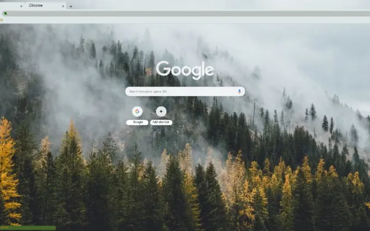 chill forest