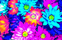 Beautiful flowers Wallpapers New Tab small promo image