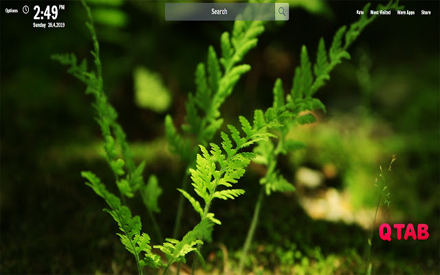 Green New Tab Green Wallpapers