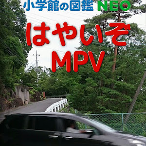 MPV LY3P