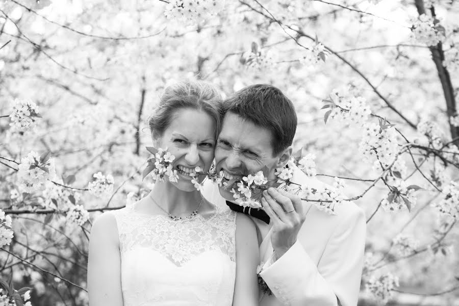 Photographe de mariage Ekaterina Palagina (vesineitsi). Photo du 10 février 2016