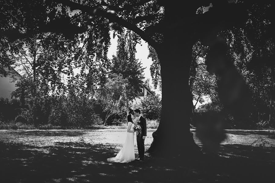 Fotografo di matrimoni Natalie Rehberger (nutsphotography). Foto del 10 dicembre 2019