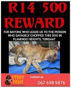 Stray Paws in Durban is offering R14,500 for information that could lead to the arrest of the perpetrator of a dog hacking.