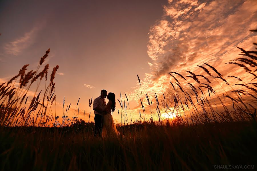 Wedding photographer Anna Shaulskaya (annashaulskaya). Photo of 19 September 2016