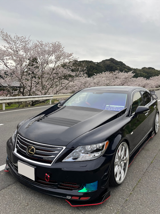 LSのLS460・USF40・サクラと愛車・桜とコラボ・ドライブに関するカスタム事例の投稿画像4枚目