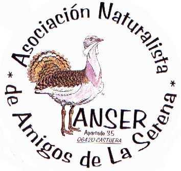 LOGO_ANSER