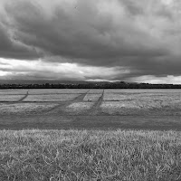 Phoenix Park Dublino di 